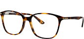 CJ9015-2010