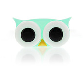 Lens Case Owl Green