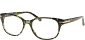 KD31004-Green Tortoise