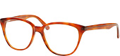 KD31003-Amber Tortoise