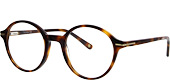CJ9010-2010